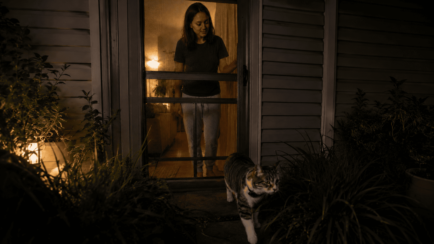 Luna sneaking out through the screen door at night while Chloe watches through the glass from inside